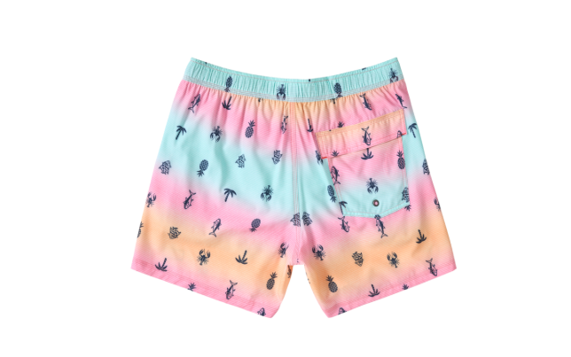Saxx 5-Inch Oh Buoy 2N1 Volley Swim Trunks - Summer Ombre - Multi