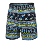 SAXX 5-Inch Go Coastal 2N1 Volley Pina Stripe Swim Trunks - Black Multi - FINAL SALE